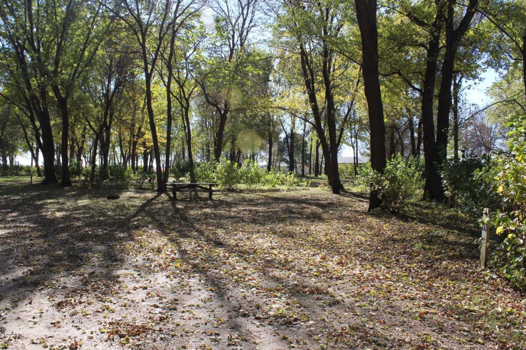 Site 48