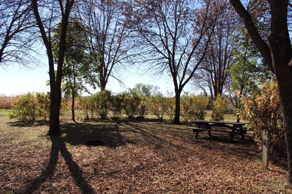 Site 71