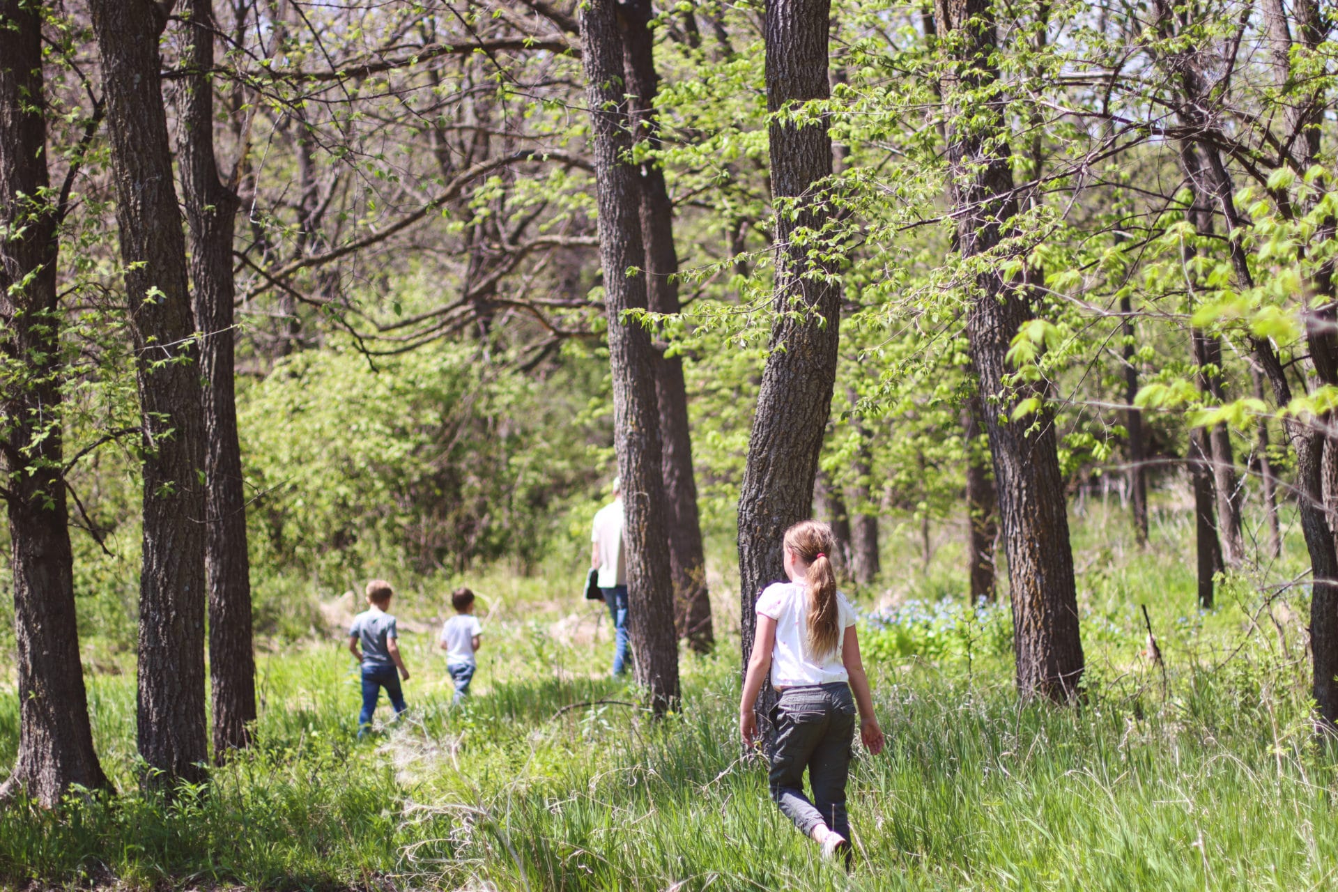 About Plum Creek Park Plum Creek Park