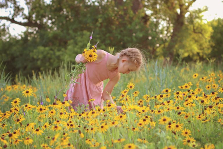 Child picking wild flowers