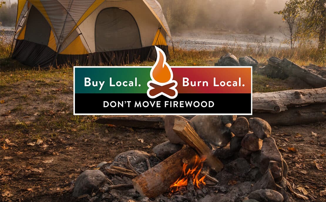 Buy Local Burn Local Infographic