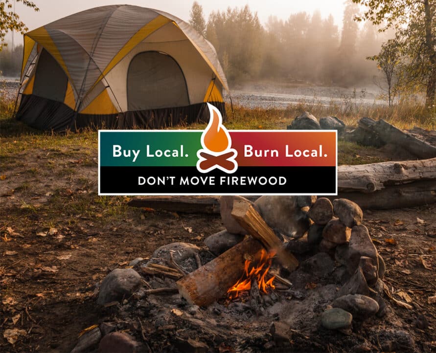 Buy Local Burn Local Infographic